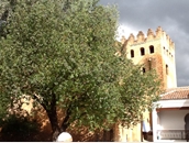 TOUR A MARRUECOS DESDE MADRID SEMANA SANTA_ 011.jpg